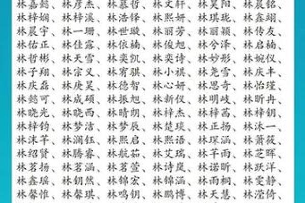 林姓男孩名字大全-林姓男孩起名字大全-林姓名字大全姓名
