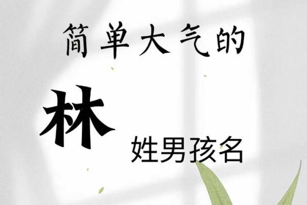 林姓男孩名字大全-林姓男孩起名字大全-林姓名字大全姓名