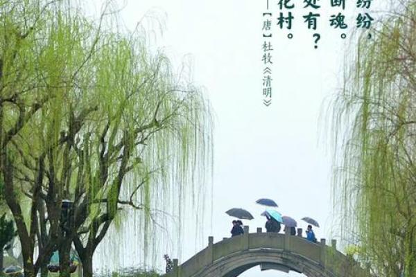 风水上清明节可以理发吗好吗