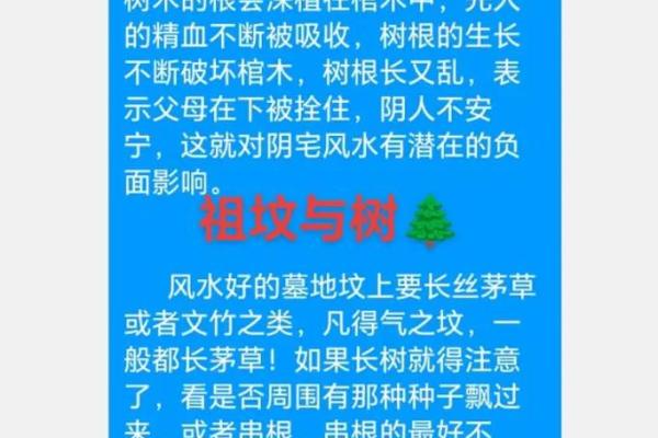 墓地风水有哪些禁忌？