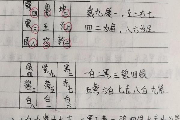 玄空飞星风水pdf详细介绍玄空飞星风水知识