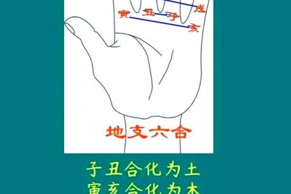 八字硬克夫 八字硬克夫