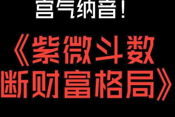 紫薇斗数看财运格局