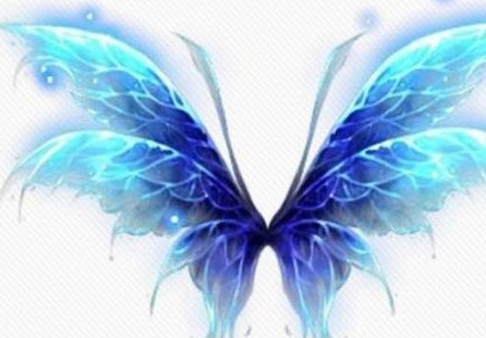 十二星座专属翅膀 十二星座专属翅膀