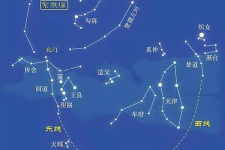 紫薇斗数之天才