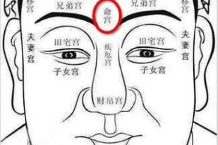 面相算命入门：五行与相貌