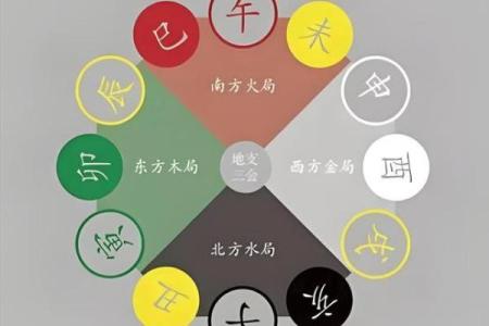 八字六合的午未是合化火还是合化土？