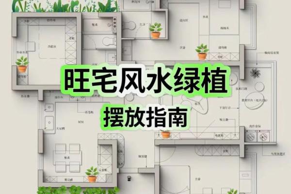 房子摆件风水说法大全 房子摆件风水说法大全