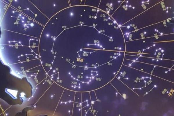 紫微斗数疾厄宫最坏的星曜 紫微斗数疾厄宫最坏的星曜