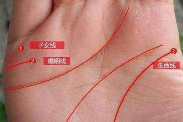 女人手相算命图解：嫁得好的手相