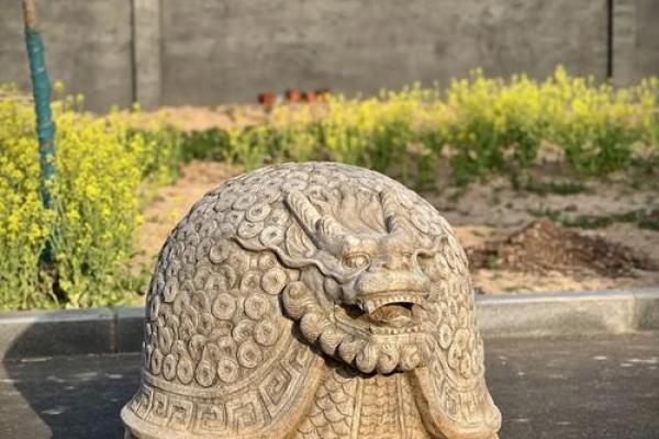 风水摆件龙龟的摆放学问有哪些 风水摆件龙龟的摆放学问有哪些