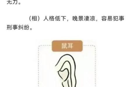 耳朵面相算命