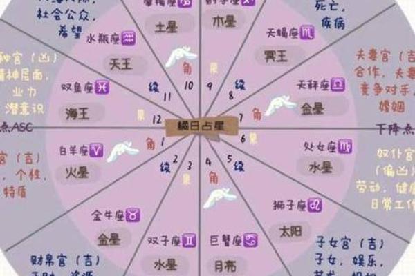 三大星座命盘查询 三大星座命盘查询