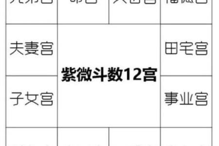 紫薇斗数命宫性格