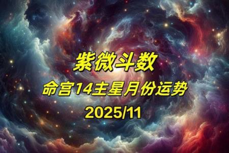 紫薇斗数看流年事业运势