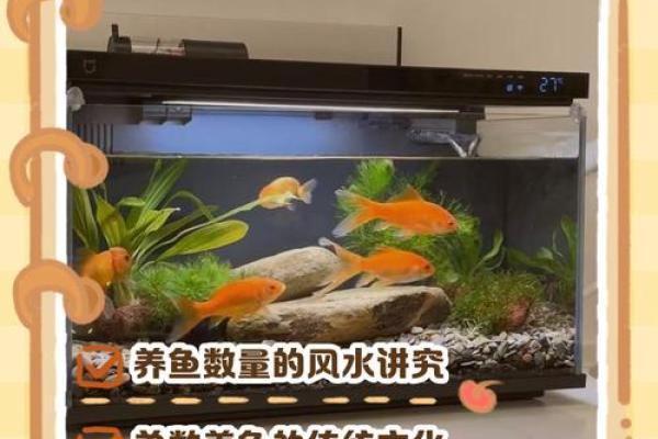 家里养鱼也有风水讲究这么一说 家里养鱼也有风水讲究这么一说
