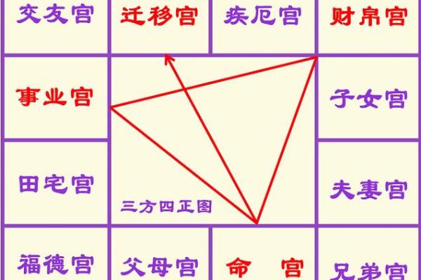 紫薇星化忌怎么看