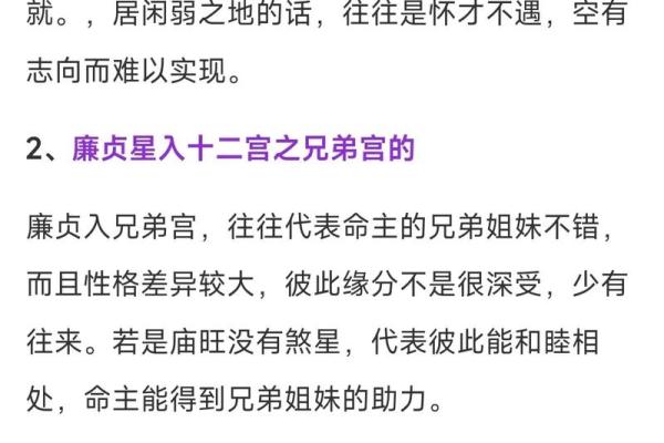 廉贞星坐守官禄宫紫微斗数大成