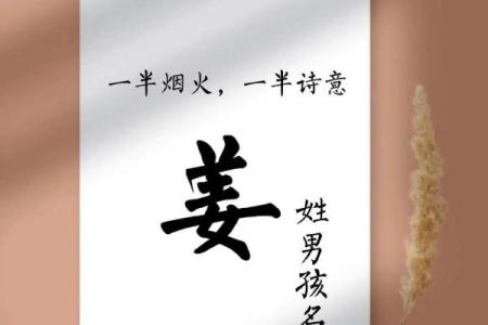 姓虞的名人-姓名学-华易算命网姓名