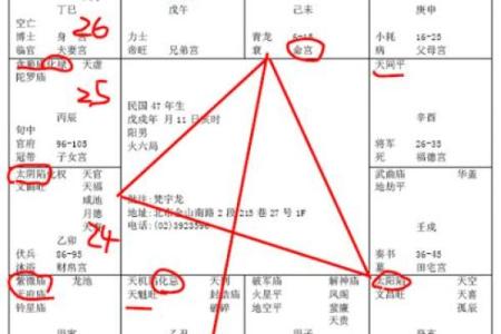 紫薇星化忌怎么看