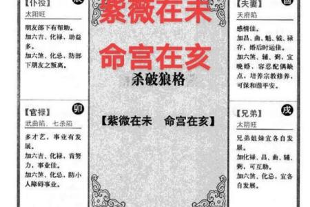 康熙紫薇斗数命盘