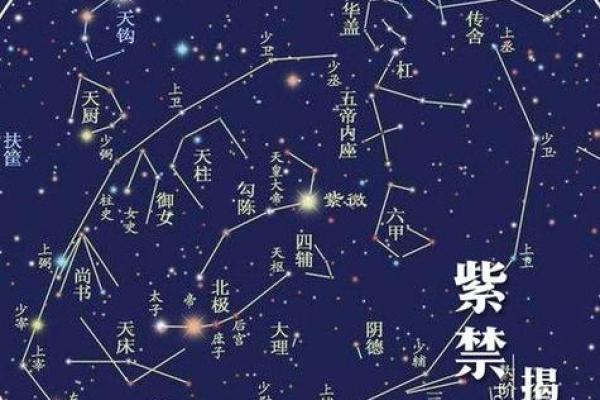 紫薇斗数星系组合