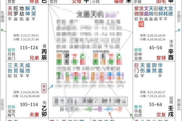 紫薇斗数星盘下载 紫薇斗数星盘下载