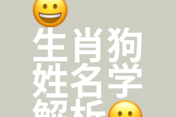 中午12点出生的属狗男孩取什么名,适合什么字姓名 中午12点出生的属狗男孩取什么名,适合什么字姓名