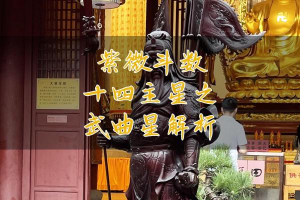 紫薇斗数中的武曲坐命需要注意什么呢？