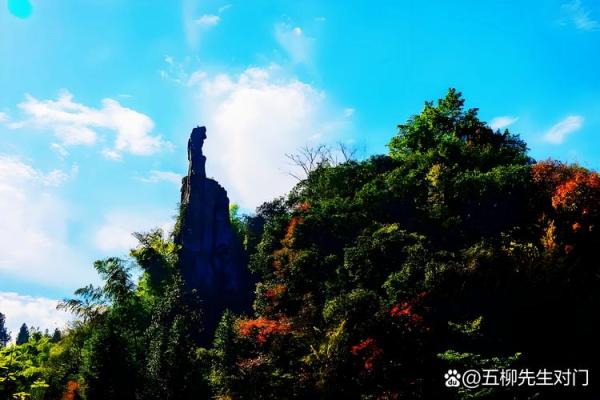 六安算命比较准的地方 六安算命比较准的地方