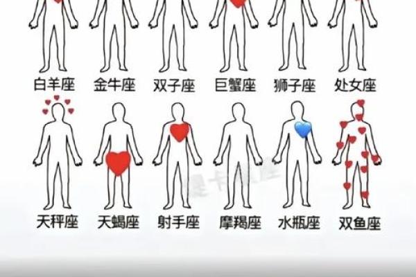 什么星座适合双鱼 什么星座适合双鱼