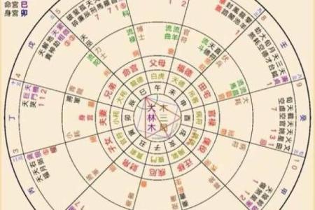 紫微斗数紫薇天府入命宫