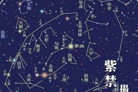 紫薇斗数星系组合