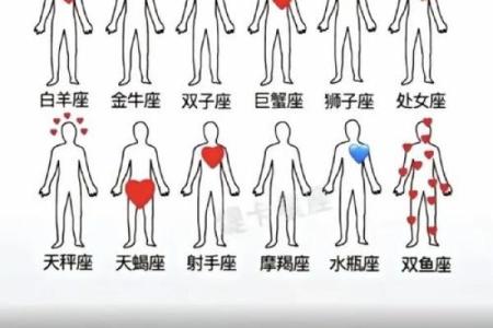 什么星座适合双鱼