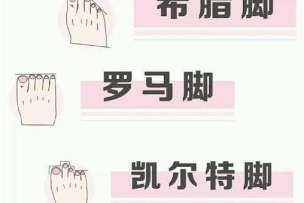 女人脚纹算命图解,脚丑的女人的命运 女人脚纹算命图解,脚丑的女人的命运