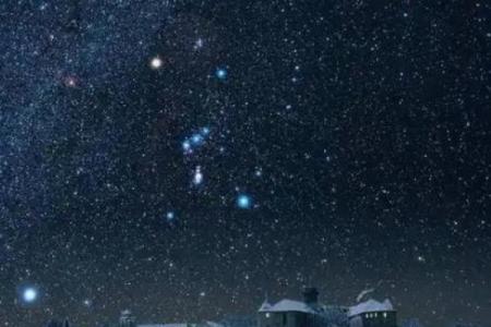 冬天能看到的星座