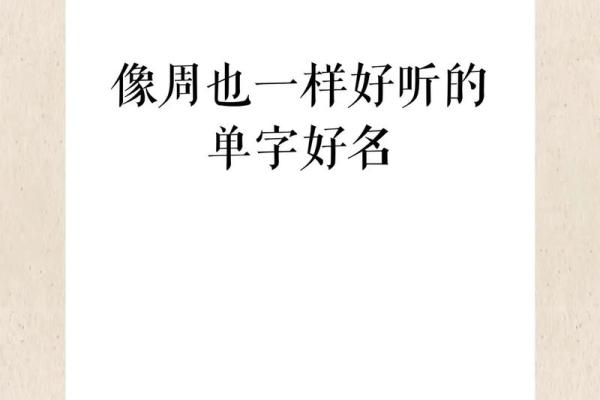 下午出生属兔的男孩应该怎么样取名字呢？姓名