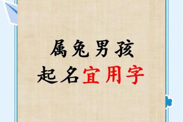 下午出生属兔的男孩应该怎么样取名字呢？姓名