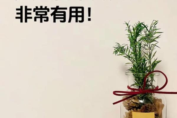 怎样凭借风水来增加自己的财运