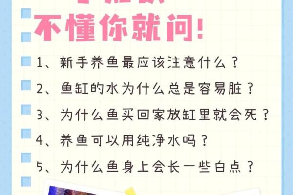 养鱼的喜忌:家庭养鱼风水讲究 养鱼的喜忌:家庭养鱼风水讲究