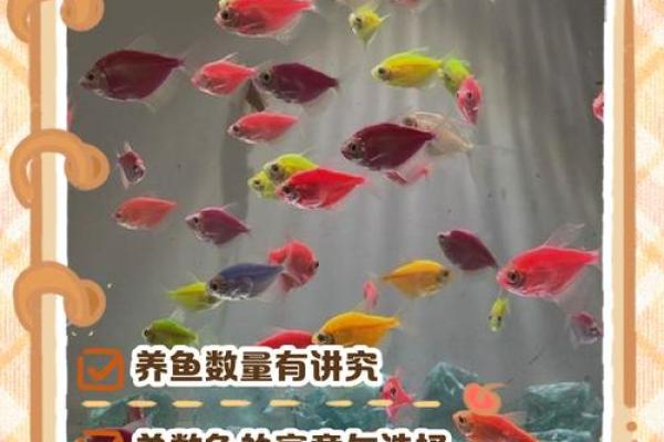 养鱼的喜忌:家庭养鱼风水讲究 养鱼的喜忌:家庭养鱼风水讲究