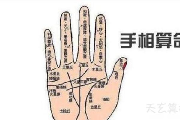 免费拍照看手相算命