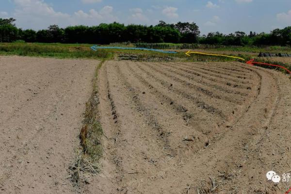 平原风水_你能晒一晒给大家分享吗