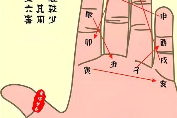 风水学八字纯阳的女命运势怎么样 风水学八字纯阳的女命运势怎么样