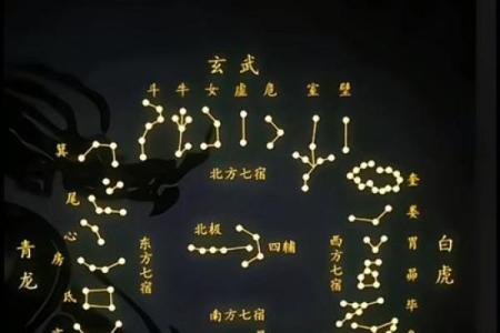 紫微斗数之流星的看法，流年岁前十二神吉凶断：官符