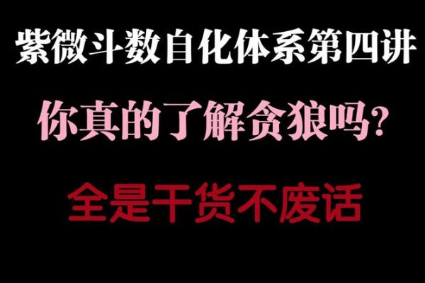 钦天门紫微斗数 斗数基础第20讲 贪狼（一）