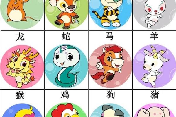 十二星座适合养的牛