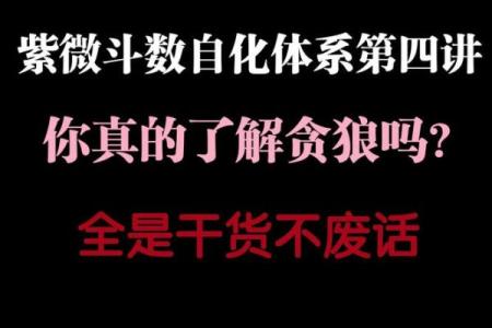 钦天门紫微斗数 斗数基础第20讲 贪狼（一）