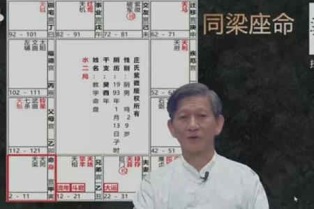 南北派紫薇斗数