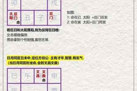 倪海厦紫微斗数案例08 倪海厦 紫薇斗数？